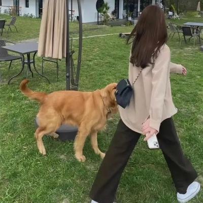 森林进化论